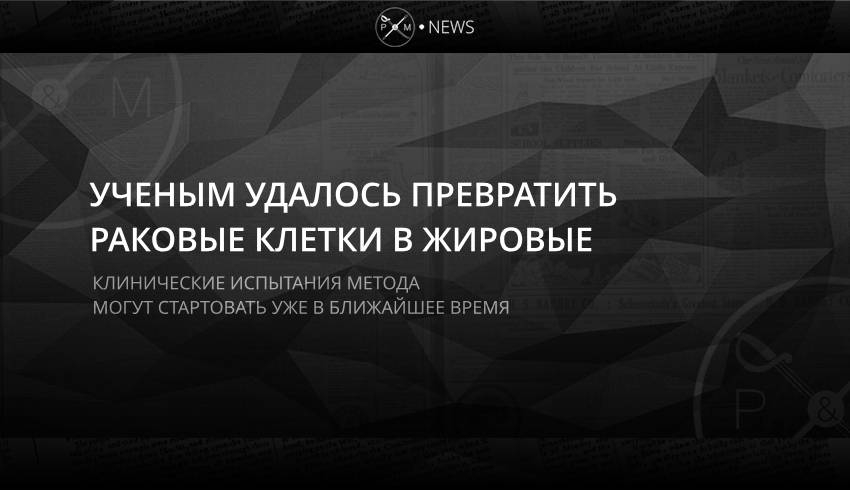 Ученым удалось превратить раковые клетки в жировые