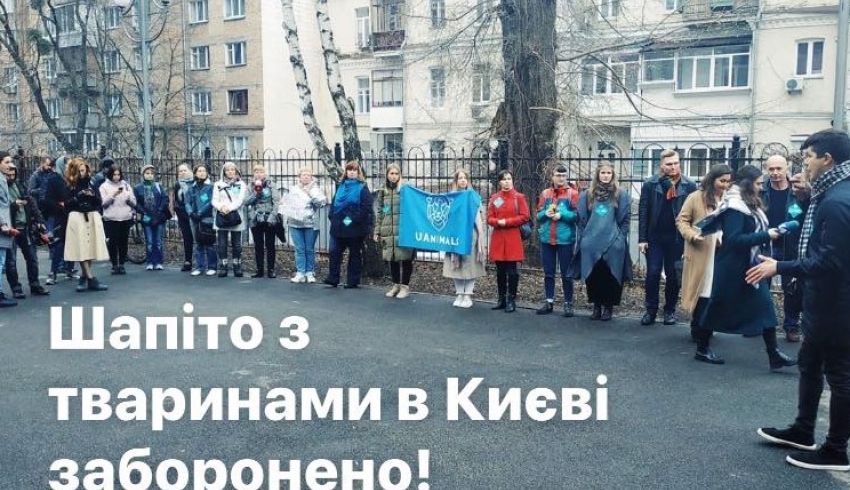 Киевский суд подтвердил законность запрета цирка с животными