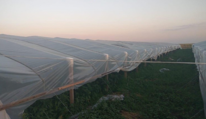 В Запорожской области полиция изъяла наркотиков на десятки миллионов