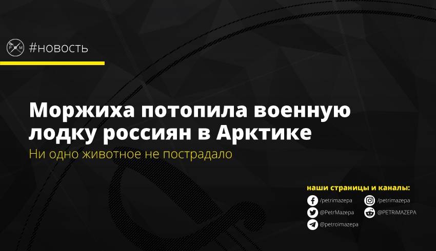 Моржиха потопила военную лодку россиян в Арктике
