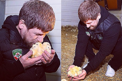 pic_5a76ab3bf03c8e3cc61226be776d91e5