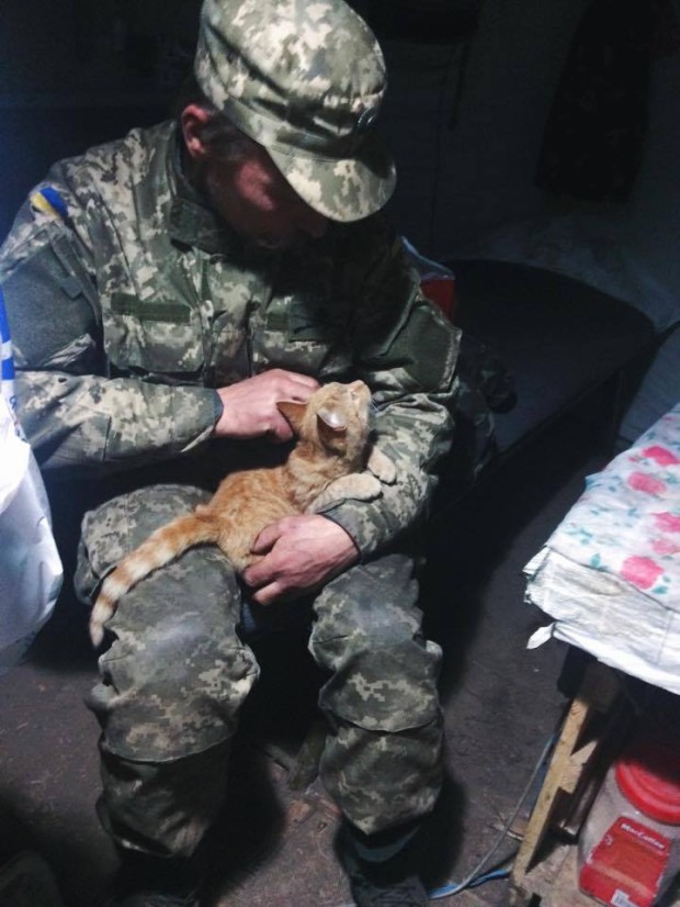 22_10805207_978801672135415_1833199482_n