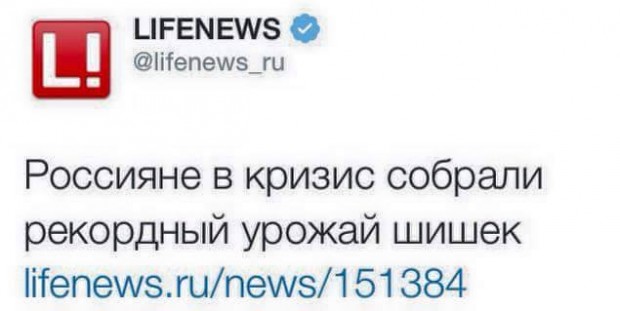 11117809_1566528206942922_1427391872_n