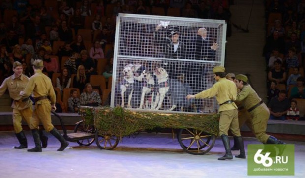 11182178_10206668144649030_4073373877157855593_n