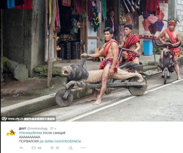 10414849_444592639055380_8474858707406693258_n